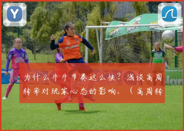 为什么牛牛节奏这么快？浅谈高周转率对玩家心态的影响。（高周转的牛牛：快节奏如何重塑玩家心态）