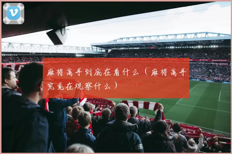 麻将高手到底在看什么（麻将高手究竟在观察什么）