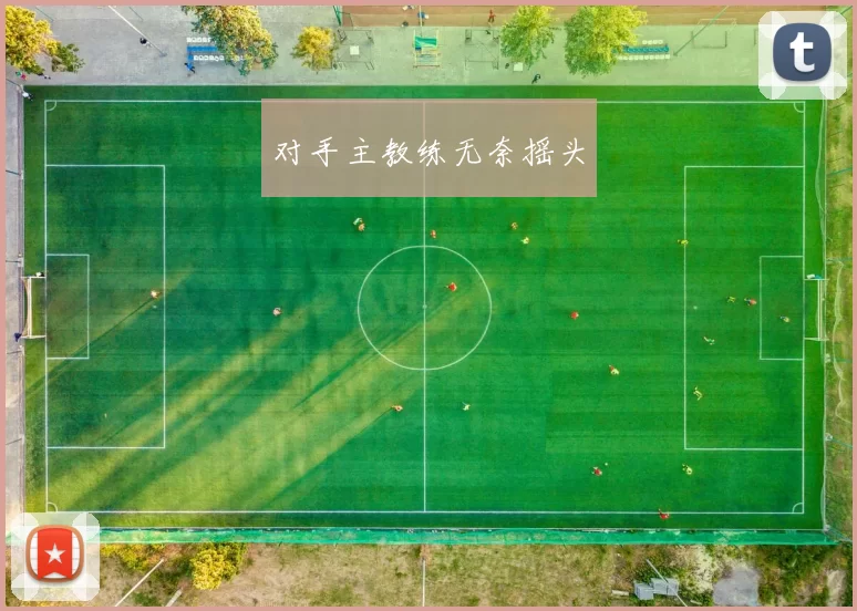 对手主教练无奈摇头