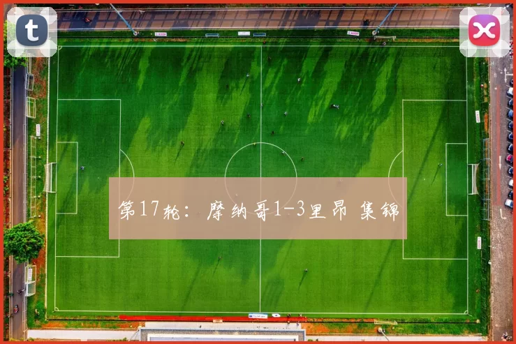 第17轮：摩纳哥1-3里昂 集锦