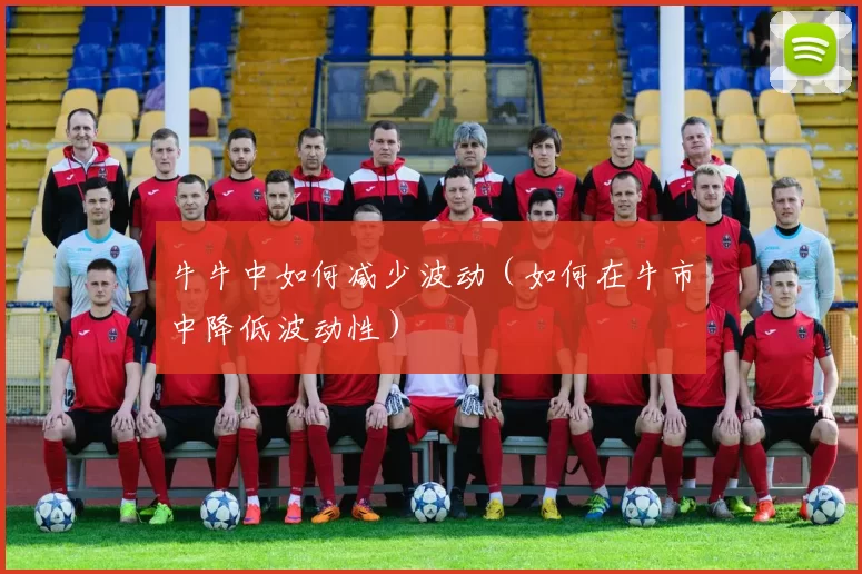 牛牛中如何减少波动（如何在牛市中降低波动性）