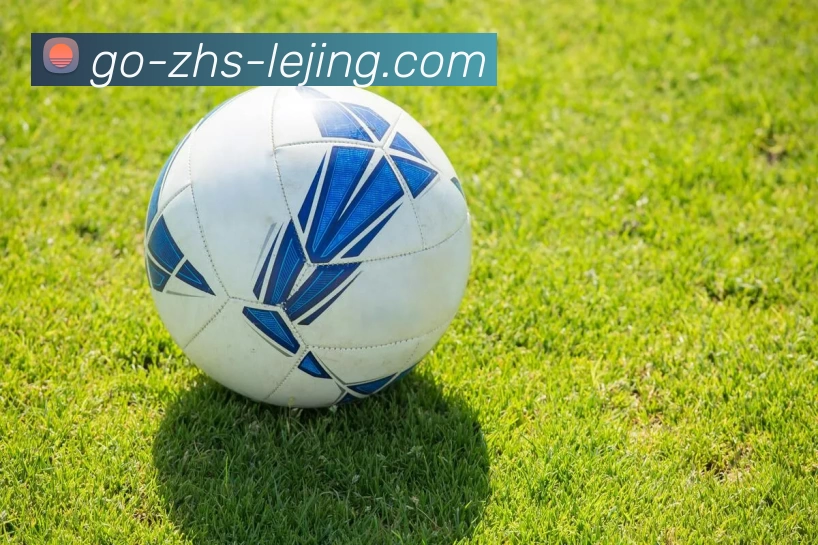 乐竞体育平台生态图